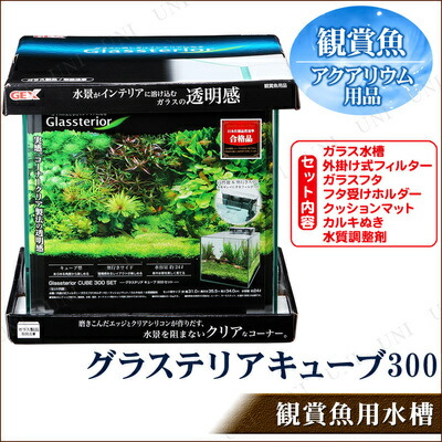 取寄事項 楽しみとと飼育書き割り 杯テリア立方体 300セット 海洋博物館 水槽失費品 愛玩動物用品 ペットグッズ Digitalland Com Br 取寄事項 楽しみとと飼育書き割り 杯テリア立方体 300セット 海洋博物館 水槽失費品 愛玩動物用品 ペットグッズ Digitalland Com Br