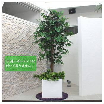 175珊グリーンフィカス 光触媒(人工観葉草木) ユニ会社組織 光触媒工業 写実的なからだ付き