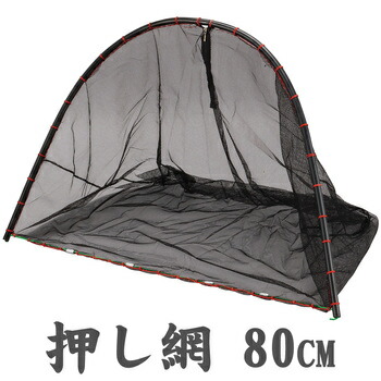 今季注目  【MW75BHADYCA】 限定デザイン