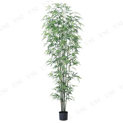 取寄品 人工観葉植物 バンブーツリー ポット付 0cm たなばた 販促品 ディスプレイ 店舗装飾品 Pop デコレーション 竹 七夕 飾り インテリアグリーン 笹 フェイクグリーン Sylvainpaley Cool