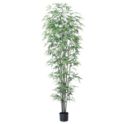 取寄品 人工観葉植物 バンブーツリー ポット付 0cm たなばた 販促品 ディスプレイ 店舗装飾品 Pop デコレーション 竹 七夕 飾り インテリアグリーン 笹 フェイクグリーン Zets Co Il
