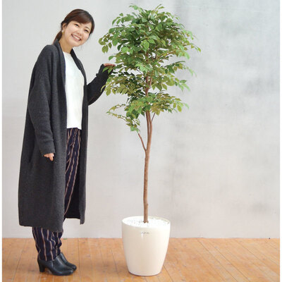 【取寄品】 フェイクグリーン 光触媒 マウンテンアッシュ 160cm 人工観葉植物 新築祝い 開店祝い 光触媒加工 脱臭効果 抗菌効果｜パーティワールド