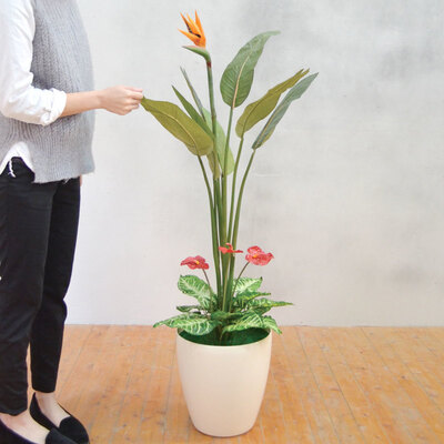 生活雑貨 造花 人工観葉植物 インテリアグッズ 人工観葉植物 デコレーション 花 ガーデン Diy フェイクグリーン 抗菌 装飾品 光触媒 インテリアグリーン 取寄品 人工観葉植物 光触媒 インテリア用品 消臭 フェイクグリーン ストレチア 128cm インテリアグリーン