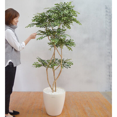 【取寄品】 フェイクグリーン 光触媒 トネリコ 178cm 人工観葉植物 新築祝い 開店祝い 光触媒加工 お手入れ不要