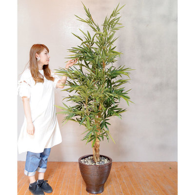 バンブー ディスプレイ フェイクグリーン たなばた 造花 人工観葉植物 インテリアグッズ 販促品 七夕 インテリアグリーン 花 ガーデン Diy 七夕 Pop 消臭 店舗装飾品 抗菌 デコレーション 人工観葉植物 笹 竹 飾り 取寄品 フェイクグリーン 光触媒 亀甲竹 195cm