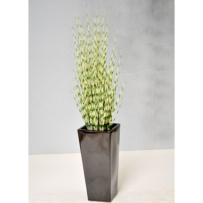 【取寄品】 フェイクグリーン 光触媒 ゼブラグラス 120cm 人工観葉植物 101cm~150cm 光触媒加工 空気の浄化 脱臭 抗菌 水やり不要 お手入れ不要｜パーティワールド