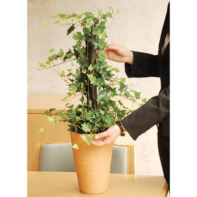 【取寄品】 フェイクグリーン 光触媒 アイビー 72cm 人工観葉植物 新築祝い 開店祝い 光触媒加工 脱臭効果 抗菌効果｜パーティワールド