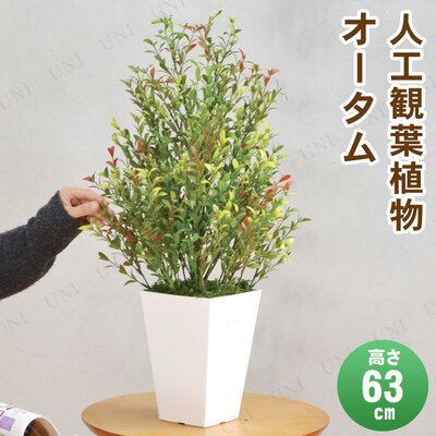 最大94 Offクーポン フェイクグリーン オータム 光触媒 63cm 花 観葉植物