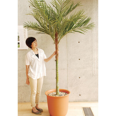 インテリア用品 やしの木 花 観葉植物 消臭 大きい ヤシの木 人工観葉植物 デコレーション インテリアグッズ フェイクグリーン 椰子 生活雑貨 ヤシの木 インテリアグリーン 光触媒 フェイクグリーン 装飾品 抗菌 取寄品 フェイクグリーン 光触媒 アレカパーム 230cm