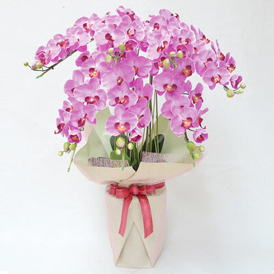 光触媒　人工観葉植物　フェイクグリーン　プレミアム胡蝶蘭7本立P 光触媒 光の楽園プレミアム胡蝶蘭7本立W【アートフラワー 造花