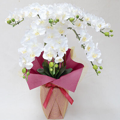 楽天市場】【取寄品】 フェイクグリーン 光触媒 胡蝶蘭7本立 薄ピンク