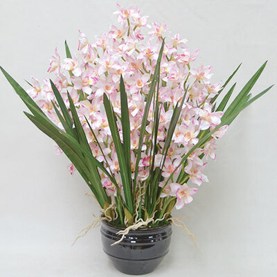 【取寄品】 フェイクグリーン 光触媒 シンビジューム12本立 薄ピンク 87cm 人工観葉植物 新築祝い 開店祝い 光触媒加工 お手入れ不要｜パーティワールド