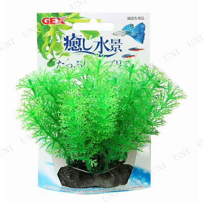 ジェックス Gex 癒し水景 いよいよ人気ブランド たっぷりアンブリア ペット用品 アクアリウム用品 水槽用品 水草 水槽用具 ペットグッズ