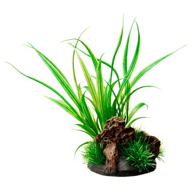 取寄品 ジェックス Gex 9周年記念イベントが 癒し水景 アクアキャンバス シペルス 水草 ペットグッズ 水槽用具 アクアリウム用品 ペット用品 水槽 用品 取寄品 ジェックス Gex 9周年記念イベントが 癒し水景 アクアキャンバス シペルス 水草 ペットグッズ 水槽用具 アクアリウム用品 ペット用品 水槽 用品