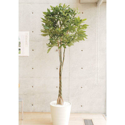 【取寄品】 フェイクグリーン 光触媒 パキラ 220cm 人工観葉植物 新築祝い 開店祝い 光触媒加工 お手入れ不要