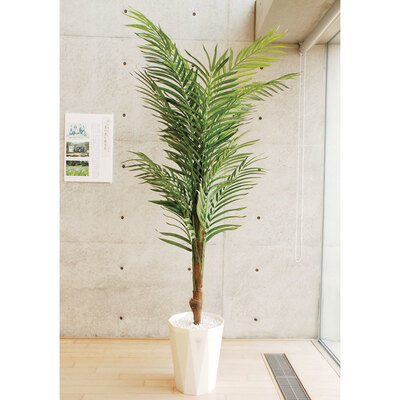 【取寄品】 フェイクグリーン 光触媒 アレカパーム 240cm 人工観葉植物 新築祝い 開店祝い 光触媒加工 脱臭効果 抗菌効果｜パーティワールド
