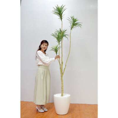 楽天市場】【取寄品】 フェイクグリーン 光触媒 ポンポングラス 120cm