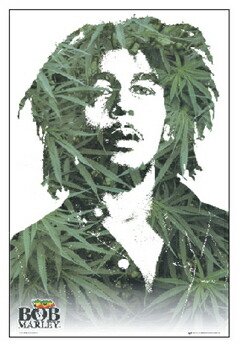 楽天市場】ホリー・ヴァランス ポスター ホリーヴァランス ホリー