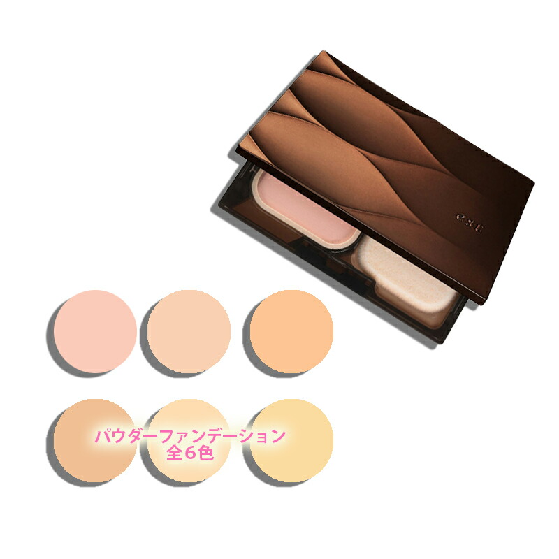 est(エスト)エスト 黒色火薬ファンデーション シルキースムース 9g レフィル （専用入れものは別売りです。）