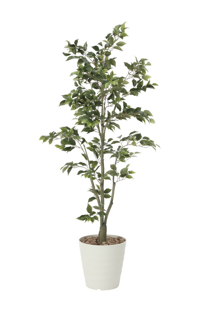 【直送品・大感謝価格 】光触媒人工植物 光の楽園 2018 フィカスツリー1.8 822A380 W70×D70×H180cm