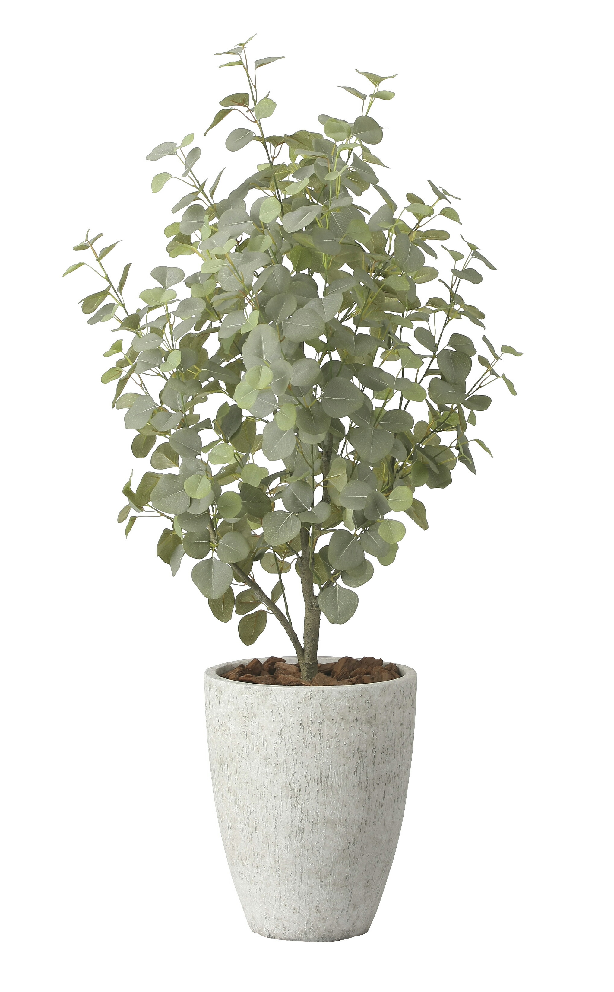 【直送品】ナチュラルユーカリツリー1.5 2422A600 W80×D65×H150cm 光触媒人工植物 光の楽園 2024【割引不可品】インテリア 人工観葉植物 アートフラワー ギフト 贈り物 花