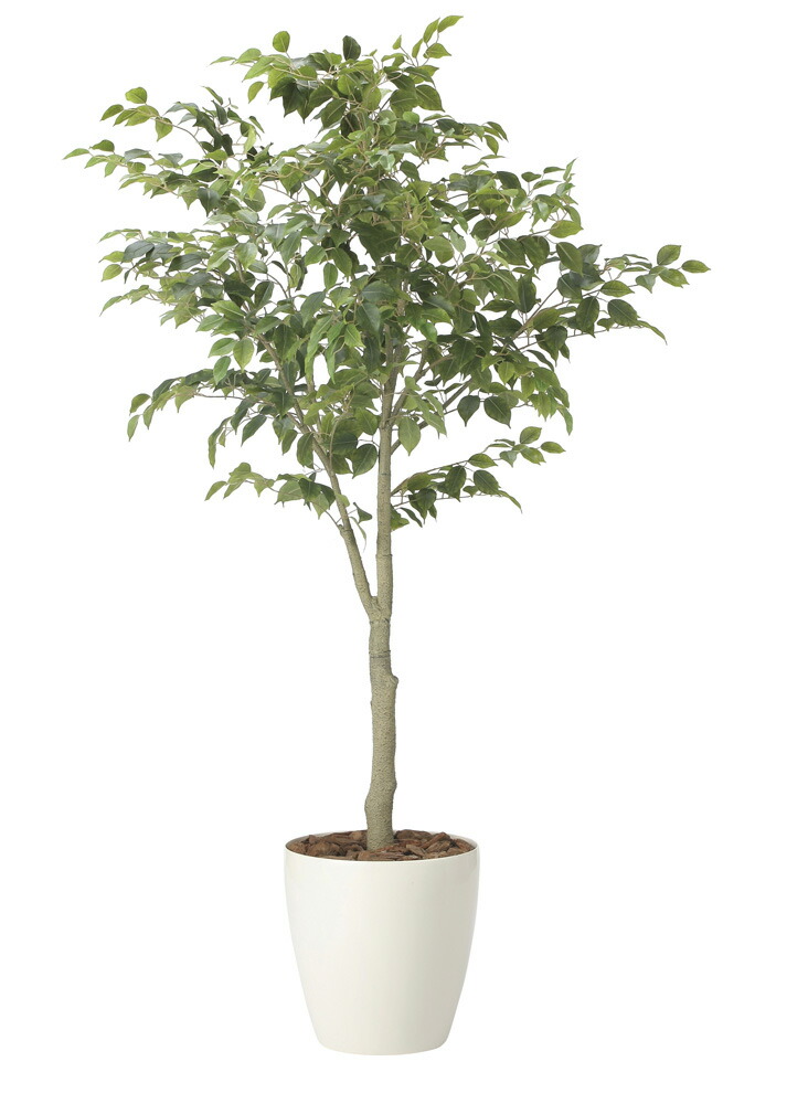 【直送品】フィカスツリー1.85 組立式 2438A430 W90×D80×H185cm 光触媒人工植物 光の楽園 2024【割引不可品】インテリア 人工観葉植物 アートフラワー ギフト 贈り物 花|ロミオニ防災グッズ保存水や食の店