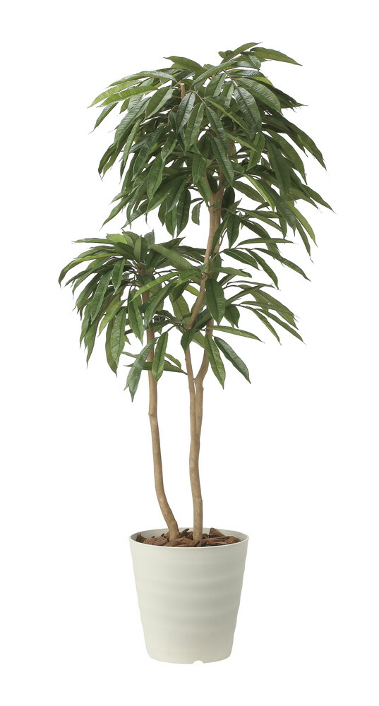 【直送品】アムステルラバーキング1.8 2440A500 W75×D70×H180cm 光触媒人工植物 光の楽園 2024【割引不可品】インテリア 人工観葉植物 アートフラワー ギフト 贈り物 花