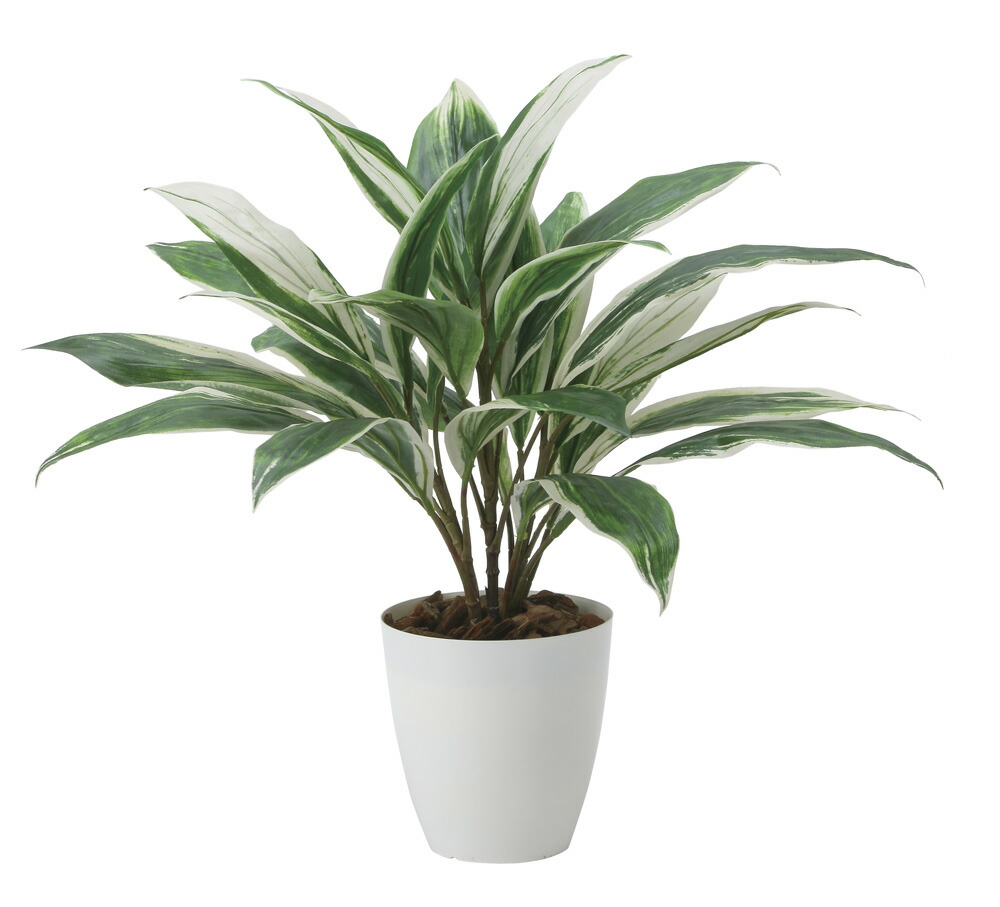 【直送品】ドラセナ 2459A50 W55×D55×H50cm 光触媒人工植物 光の楽園 2024【割引不可品】インテリア 人工観葉植物 アートフラワー ギフト 贈り物 花