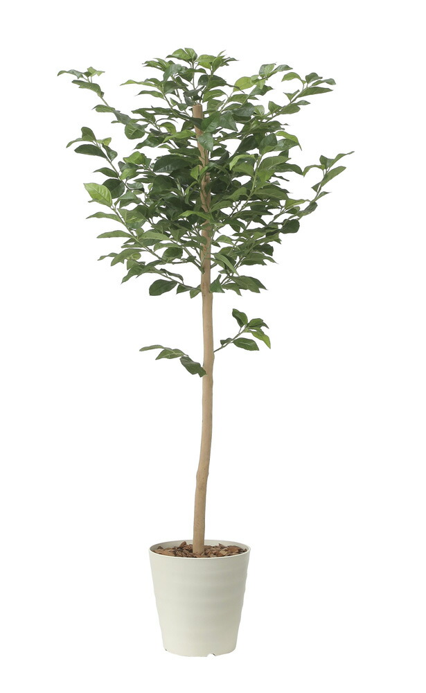【直送品】レモンツリー1.6 2481A350 W80×D75×H160cm 光触媒人工植物 光の楽園 2024【割引不可品】インテリア 人工観葉植物 アートフラワー ギフト 贈り物 花