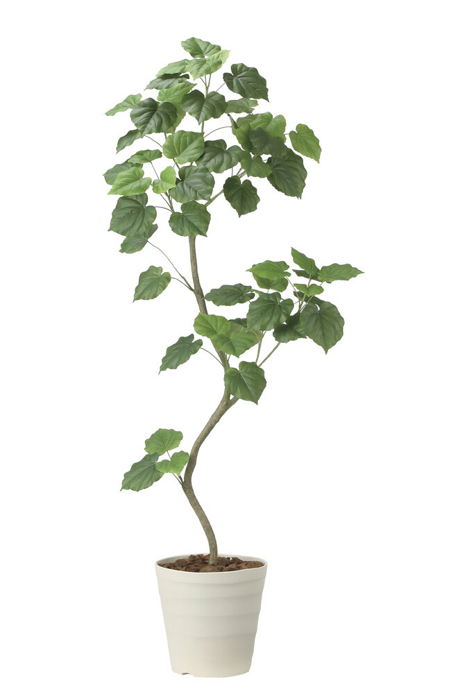 【直送品】ツイストウンベラータ1.9 組立式 2494A500 W70×D65×H190cm 光触媒人工植物 光の楽園 2024【割引不可品】インテリア 人工観葉植物 アートフラワー ギフト 贈り物 花 39,673円