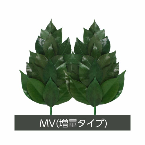 【2個セット】Ａ＆Ｋ プリザーブド榊 MVサイズ：FS-011ML 1対 x 2【ヘルシ価格】プリザーブド加工 丹波産の天然椿葉を使用 仏壇 仏具 さかき