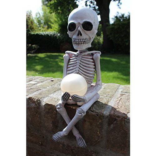 楽天市場】スケルトン玉ライト □ ソーラーライト スカル ガイコツ