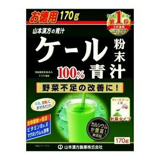 【10個セット】ケール粉末100％ 170gx10個セット【返品キャンセル不可品】【ヘルシ価格】 ダイエット食品 健康食品 ドリンク 青汁 ケール粉末100％
