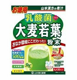 【10個セット】乳酸菌大麦若葉粉末徳用 4g×30包x10個セット【返品キャンセル不可品】【ヘルシ価格】 ダイエット食品 健康食品 ドリンク 青汁 乳酸菌大麦若葉粉末