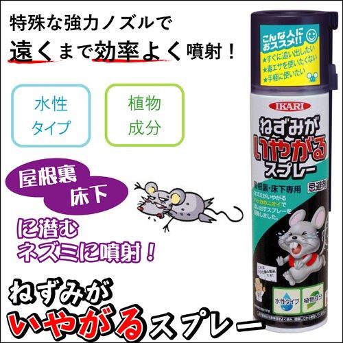 【直送品】【24個書き割り】ねずみがいやがる吹きつける 320mlx24個書き割り【ヘルシ通貨価値】 避けること剤 ねずみ 鼠 避けること吹きつける