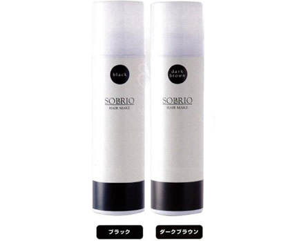 【即納】【3個仕掛ける】大有りがたさ通貨価値 ソルリオ 髪の毛メイク 170g【バス発着場365日さし出し 直送】