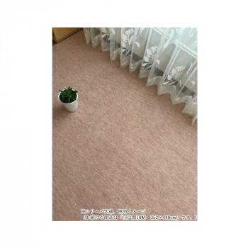 【直送品】Axia　アクシア　ループパイルカーペット　防ダニ・抗菌・床暖対応 Rose　ローズ 江戸間10帖　352×440【お寄せ品、返品キャンセル不可。欠品終売時連絡あり】
