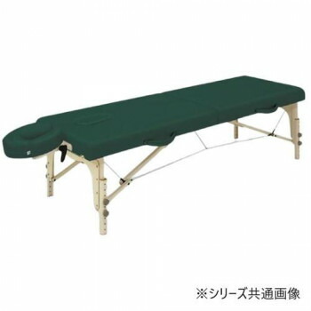 【直送品】高田ベッド製作所 カルロス70 (木製ポータブルベッド) 幅70×長さ183×高さ45/65cm(高さ調節機能付き) メディグリーン TB-209-02【お寄せ品、返品キャンセル不可。欠品終売時連絡あり】 45,372円