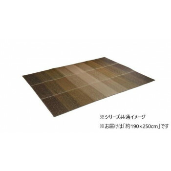 【直送品】カーペット 日本製 KOBA-GUARD 抗菌防臭 約190×250cm ブラウン 1070480064203【お寄せ品、返品キャンセル不可。欠品終売時連絡あり】|ヘルシー救急BOX