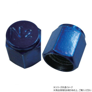 チップトップ N2キャップ ブルー 100個入 N2-B【お寄せ品、返品キャンセル不可。欠品終売時連絡あり】