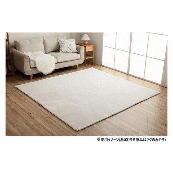 【メーカー直送（大型）】ラピアス ラグ 200×200cm SWH 3987759【お寄せ品、返品キャンセル不可。欠品終売時連絡あり】