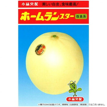 【直送品】小林種苗 メロン種子 ホームランスター改良系　8131　100粒【お寄せ品、返品キャンセル不可。欠品終売時連絡あり】