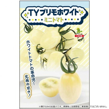 【直送品】小林種苗 ミニトマト種子 TYプリモホワイト 6832 1000粒【お寄せ品、返品キャンセル不可。欠品終売時連絡あり】|ヘルシー救急BOX