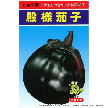 【直送品】小林種苗 茄子内果皮 雇い主 7211 20ml【お寄せ品、返品取りやめる不可。欠品終売時申しつたえるあり】