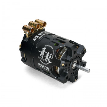 G-FORCE SHORYU 青龍 Drift Brushless Motor 10.5T G0905【お寄せ品、返品キャンセル不可。欠品終売時連絡あり】