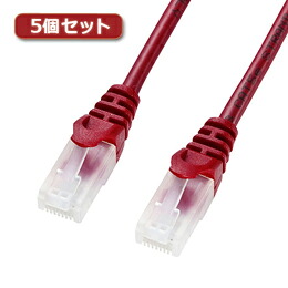【5個仕掛ける】 サンワサプライ ツメ折れCAT5eLAN有線テレビ 天使の都市-Y5TS-20RX5【取り寄せ品取りやめる返品不可、銀行割引不可】