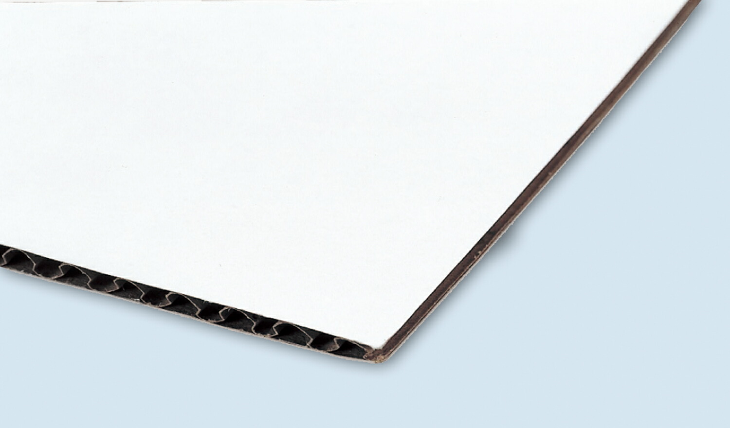 单面白瓦楞纸板10张组