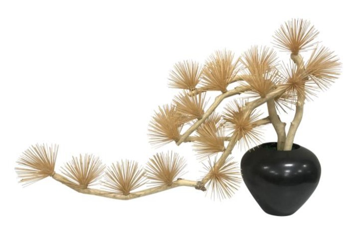 【直送品・大有りがたさ通貨価値 】草木室内装飾 AT-55-025 W950×D350×H600 artificial bonsai