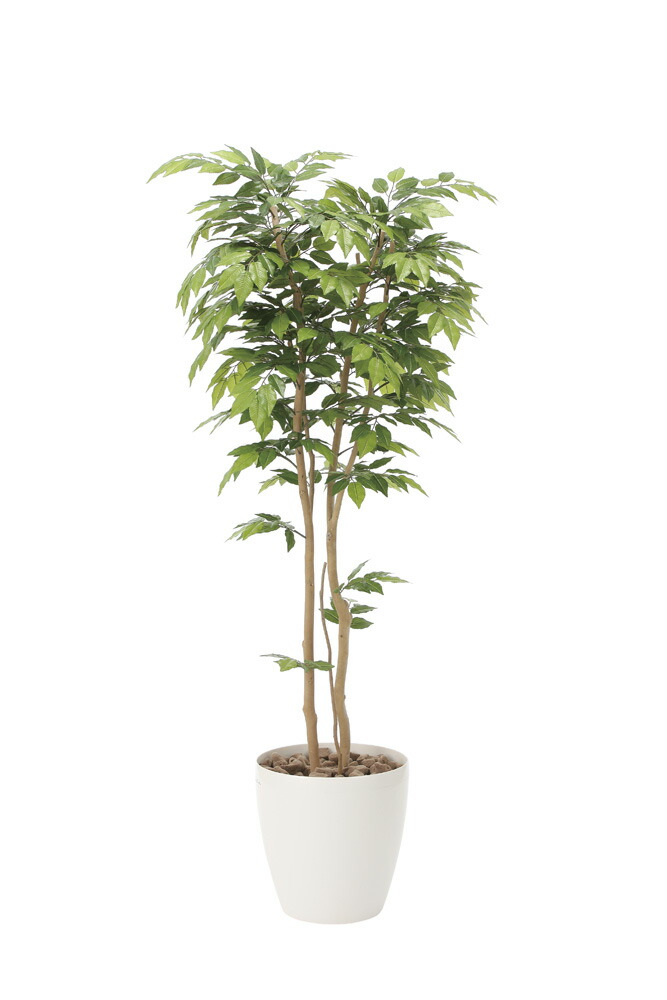 【直送品・大感謝価格 】光触媒人工植物 光の楽園 2018 ケヤキ1.8 807A400 W70×D70×H180cm【別途送料が発生する場合あり・ラッピングは有料(不可の場合あり)】