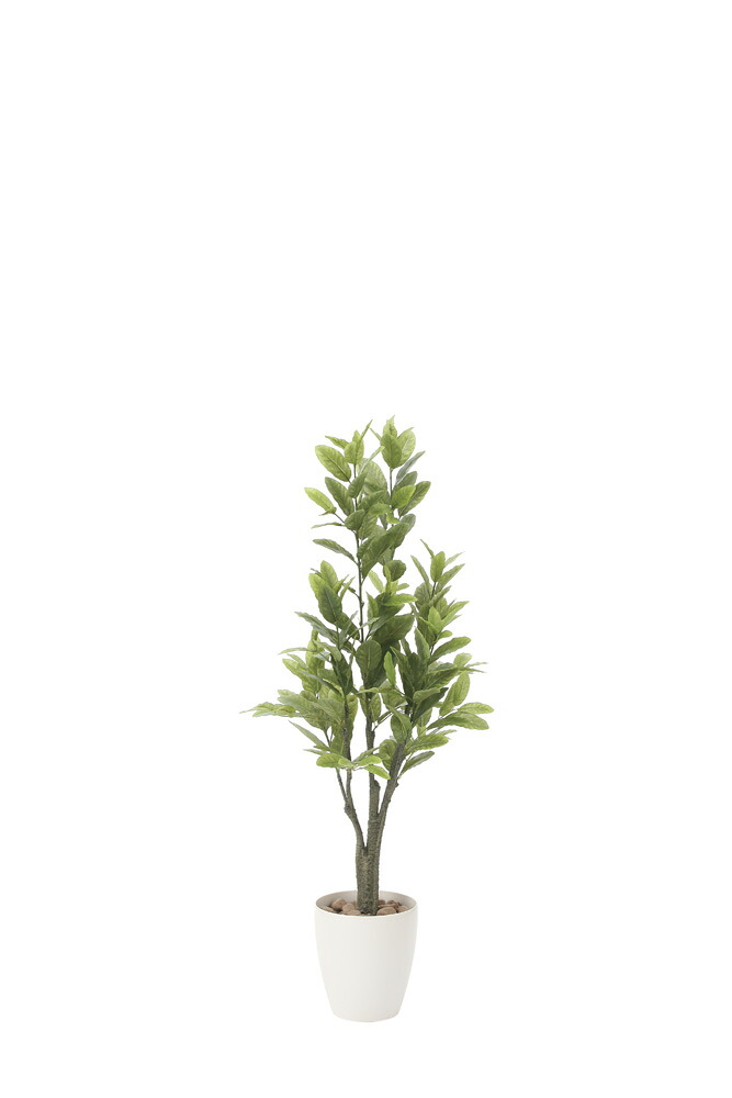 【直送品・大感謝価格 】光触媒人工植物 光の楽園 2018 レモン1.25 817A200 W50×D45×H125cm【別途送料が発生する場合あり・ラッピングは有料(不可の場合あり)】|ヘルシー救急BOX